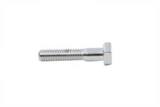 (image for) Hex Cap Bolts Chrome 1/4" x 1"