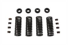 (image for) Valve Spring Kit