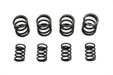 (image for) Valve Spring Set