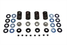 (image for) Valve Spring Set