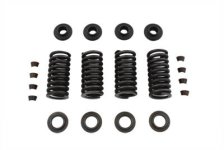 (image for) Valve Spring Kit