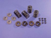 (image for) Valve Spring Kit