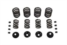 (image for) Valve Spring Kit