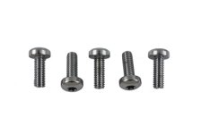 (image for) Chrome Front Disc Rotor Bolt Set