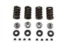 (image for) Valve Spring Kit