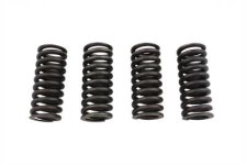 (image for) Valve Spring Set