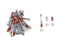 (image for) Primary Allen Type Screw Kit