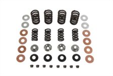 (image for) Valve Spring Kit