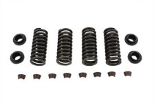 (image for) Valve Spring Kit