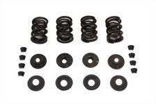 (image for) Valve Spring Kit