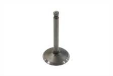 (image for) Nitrate Steel Intake Valve