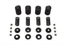 (image for) Valve Spring Kit