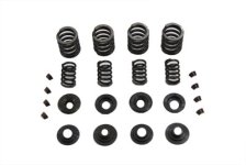 (image for) Valve Spring Kit