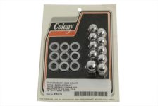 (image for) Chrome Transmission Side Cover Nut Kit