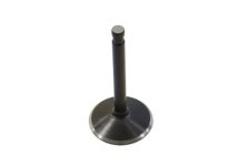 2.00 Black Diamond Nitrate Intake Valve (image for) 2.00 Black Diamond Nitrate Intake Valve