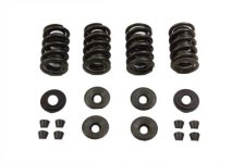 (image for) Valve Spring Kit