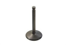 (image for) Stainless Steel Nitrate Intake Valve