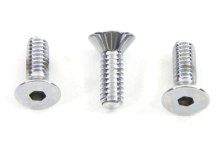 (image for) Ignition Module Screw Set