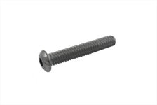 (image for) Allen Button Head Screws Chrome 1/4" X 1-1/2"