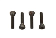 (image for) Tappet Adjuster Screws