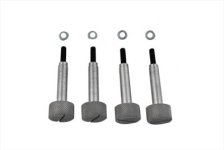 (image for) Carburetor Float bowl Screw Set