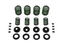 (image for) Valve Spring Kit