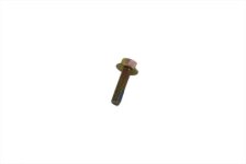 (image for) Ignition Sensor Cup Screw