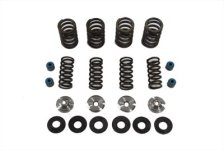 (image for) Valve Spring Kit