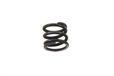 (image for) Lower Fork Slider Springs