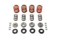 (image for) Valve Spring Kit