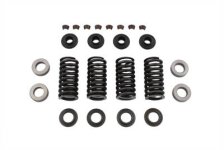 (image for) Valve Spring Kit