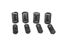 (image for) Valve Spring Kit