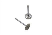 (image for) Stainless Steel Intake Valves