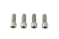 (image for) Fork Slider Cover Screw Set