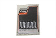 (image for) Cam Cover Stock Slotted Screws Chrome