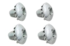 (image for) Replica Fork Cover Screws