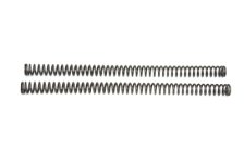 (image for) 41mm Fork Tube Spring Set