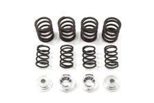 (image for) Valve Spring Kit