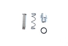 (image for) Tappet Oil Screen Kit and Chrome Top Plug