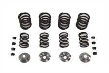 (image for) Valve Spring Kit