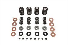 (image for) Valve Spring Kit