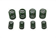 (image for) Valve Spring Set