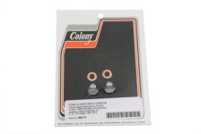 (image for) Chrome Fork Slider Drain Screws