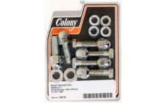 (image for) Rear Fender Strut Bolt Kit Acorn Style