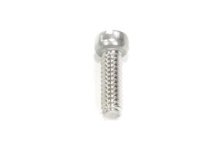 (image for) Fillister Head Screws