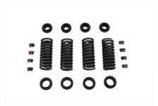 (image for) Valve Spring Kit