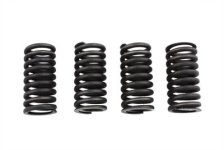 (image for) Valve Spring Set