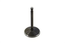(image for) 1000cc Stainless Black Diamond Intake Valve