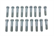 (image for) Indian Chief Aluminum Head Bolt Set