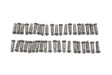 (image for) Spoke 40 Piece Chrome Nipple Set